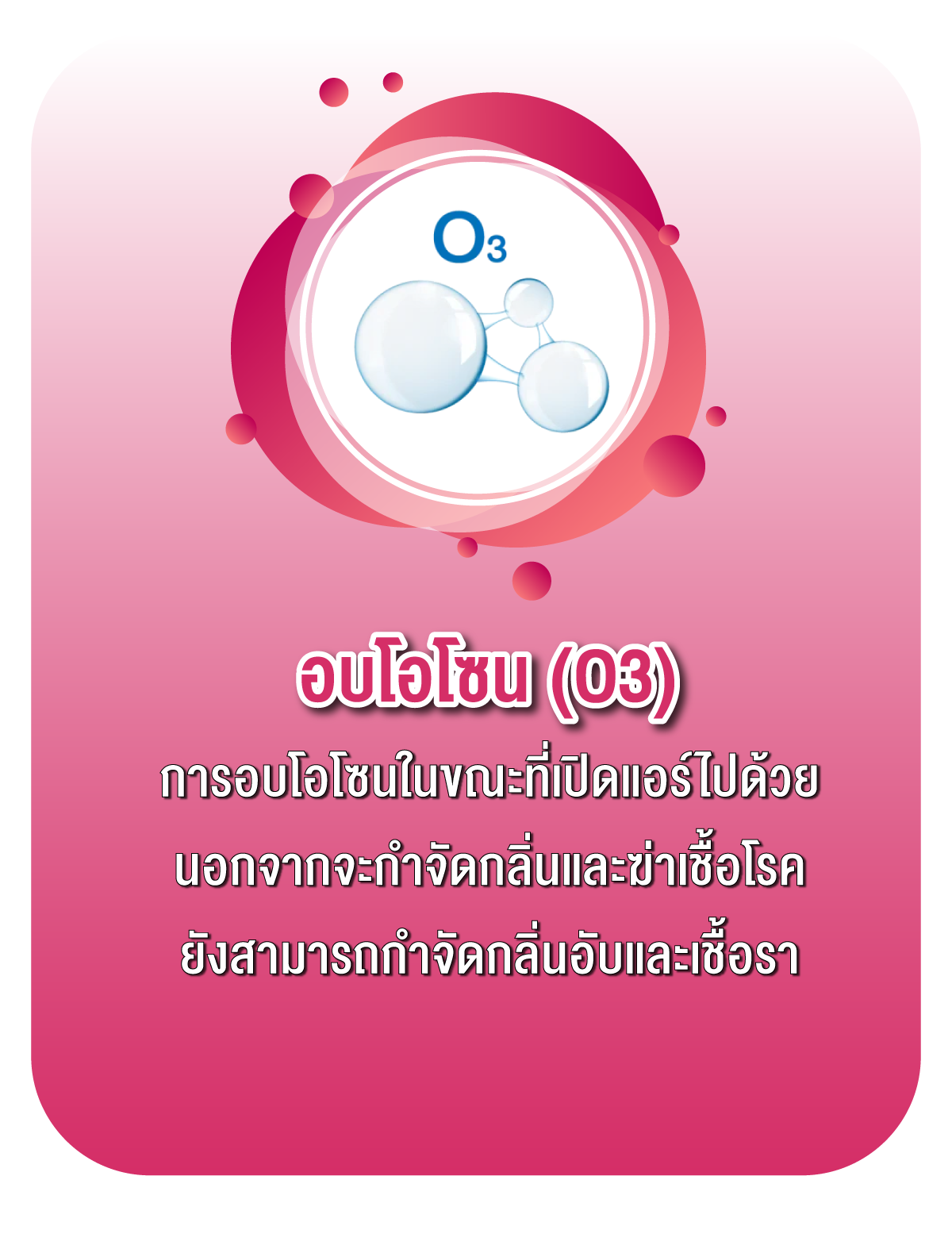 ปุ่มหน้าโอโซน